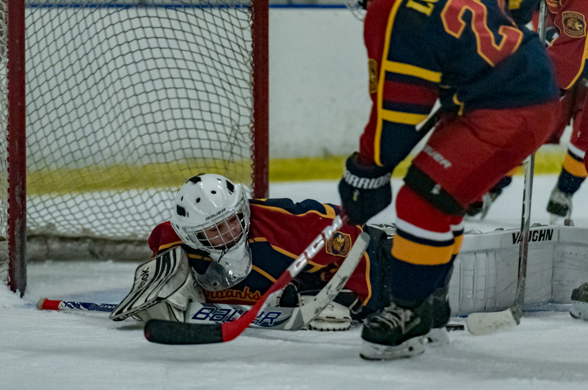Jr Sharks-3.jpg