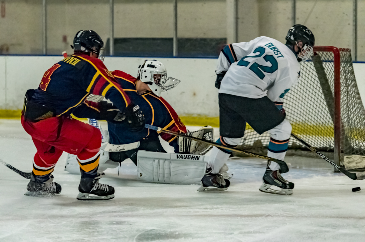 Jr Sharks-9.jpg