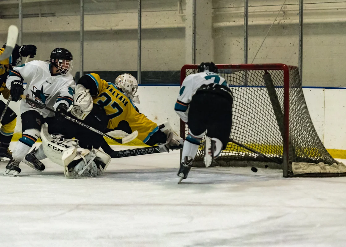 Jr sharks 9-7-15.jpg