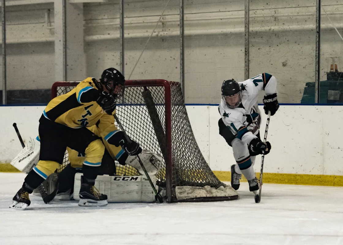 Jr sharks 9-7-15-3.jpg