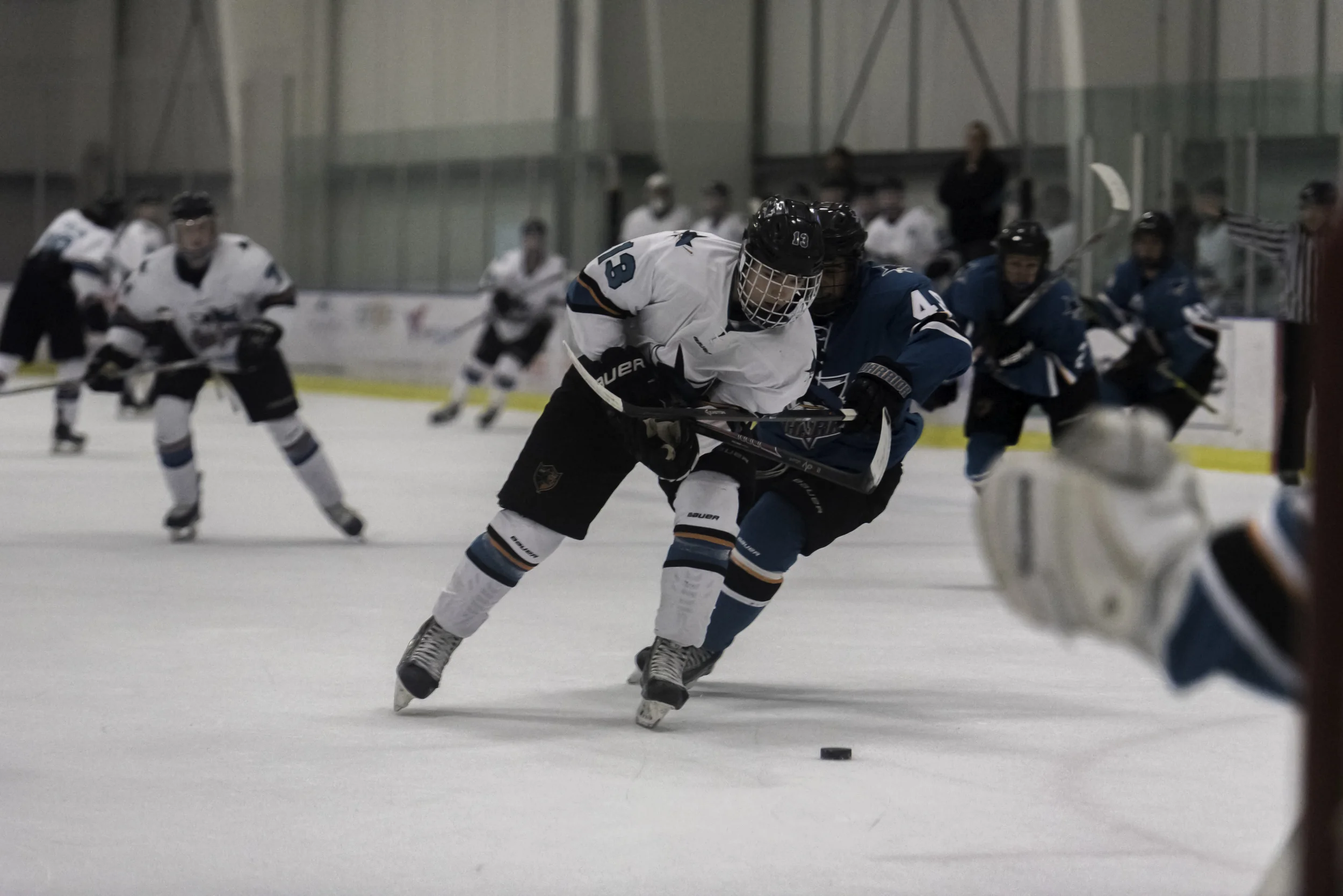 jr sharks.jpg