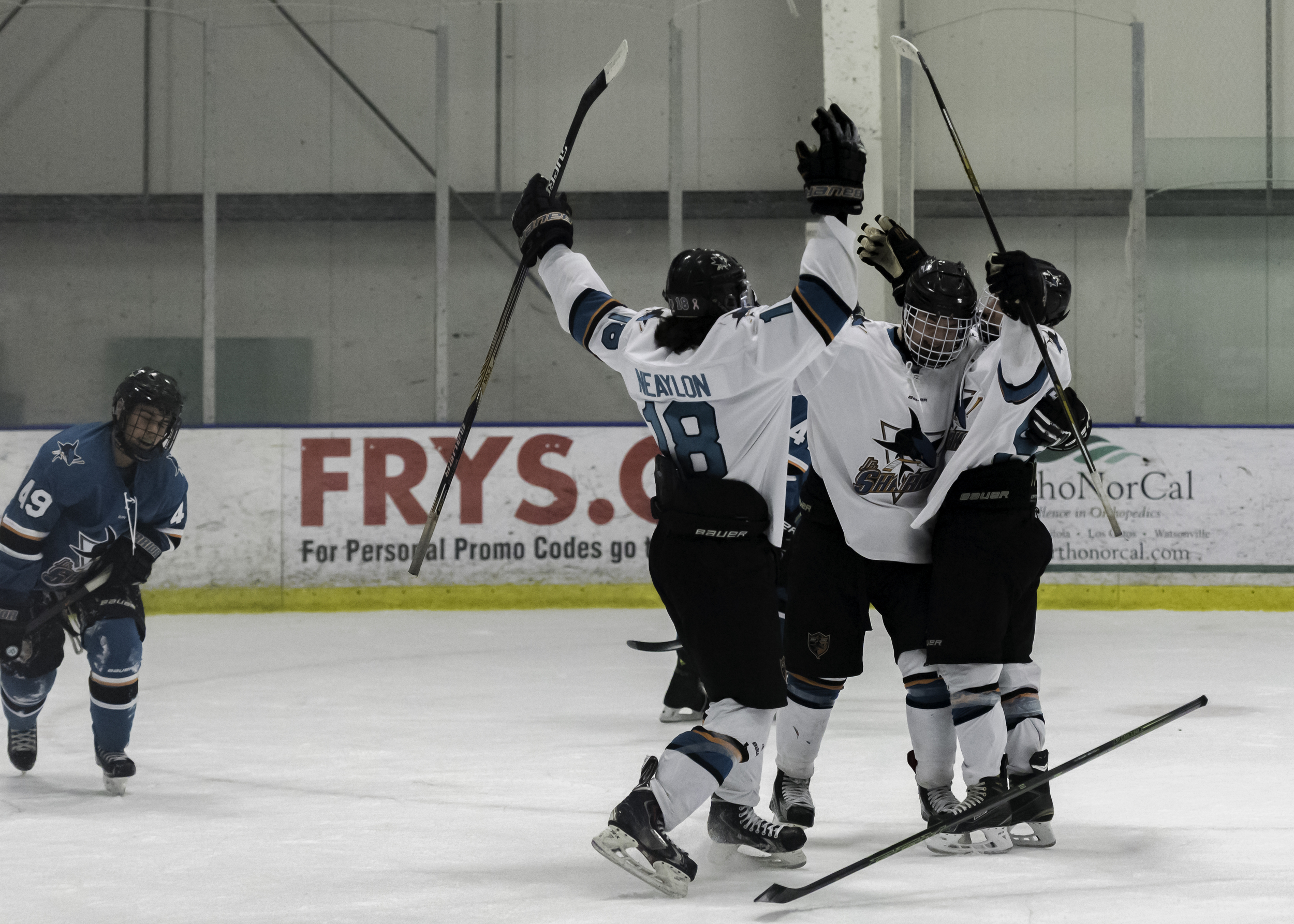 jr sharks-3.jpg