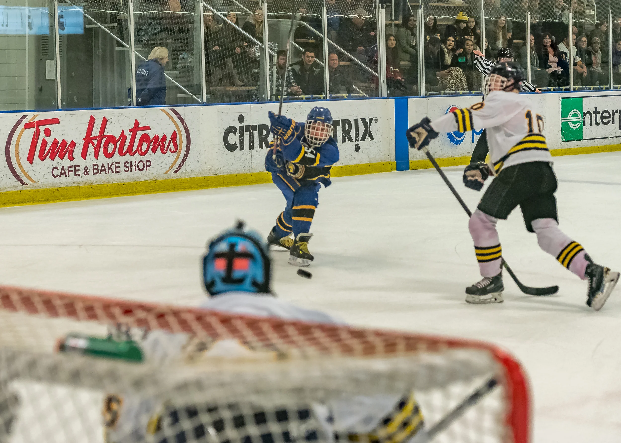 SJS v Cal-15.jpg