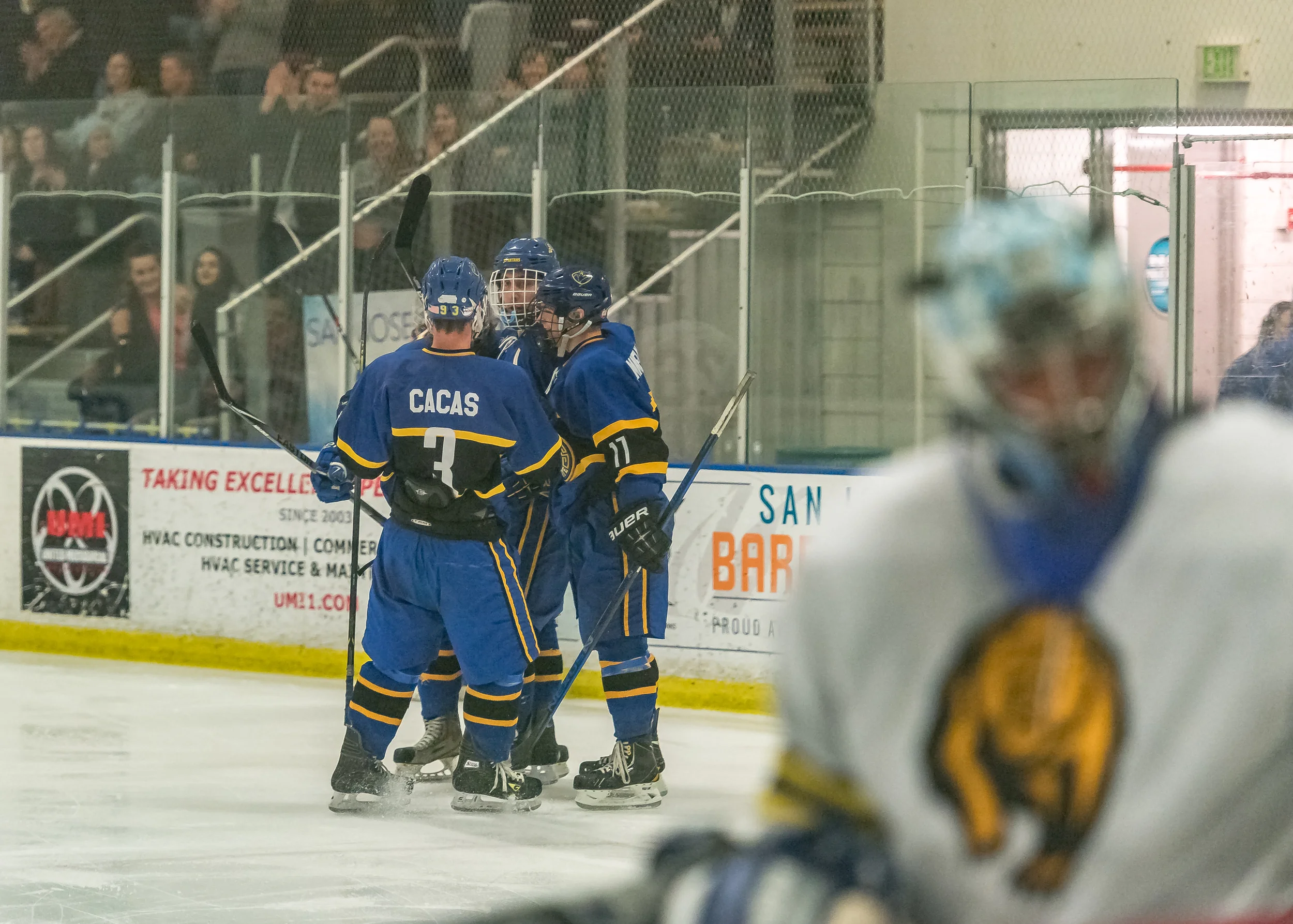 SJS v Cal-38.jpg