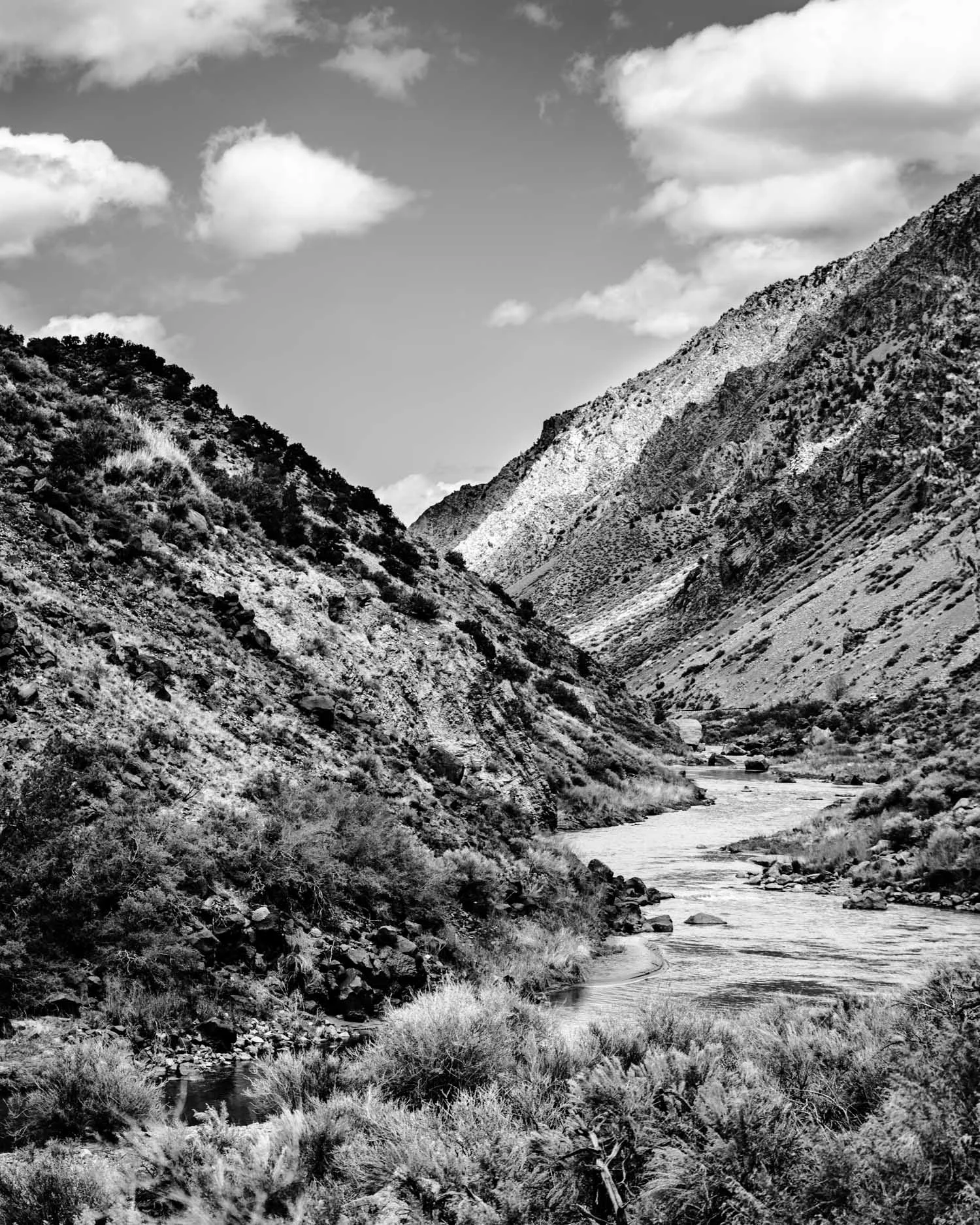NEW MEXICO