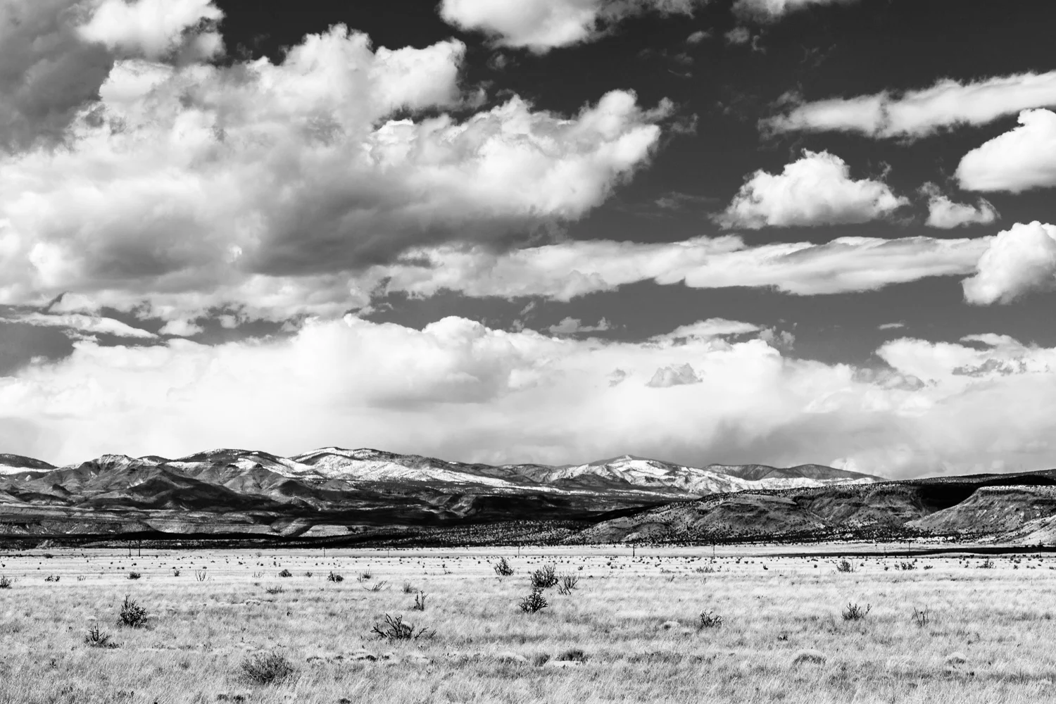 NEW MEXICO