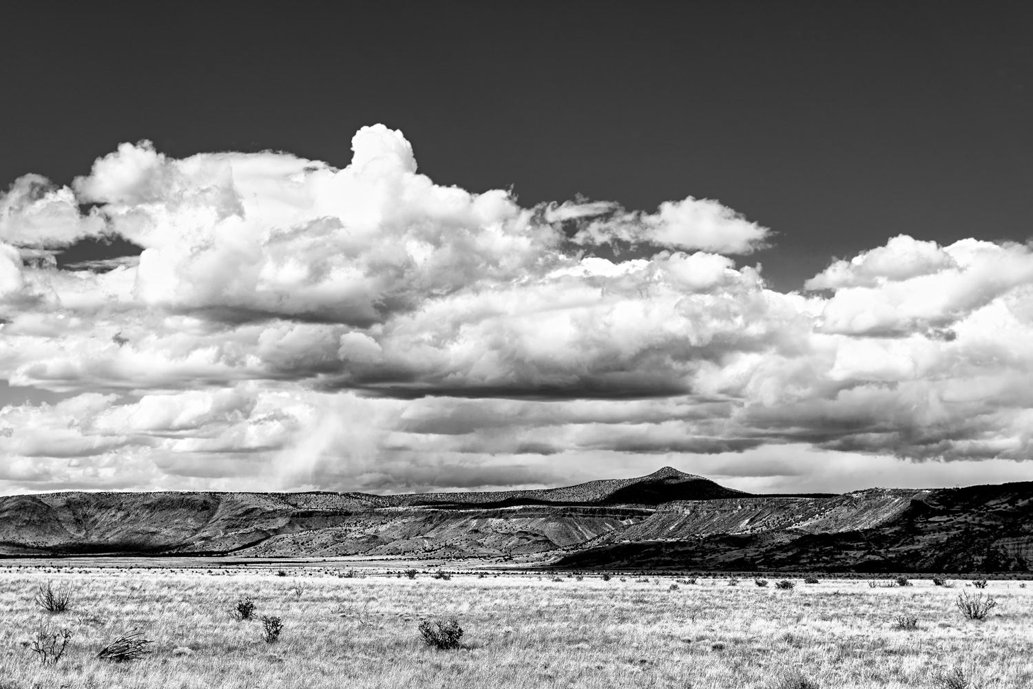 NEW MEXICO