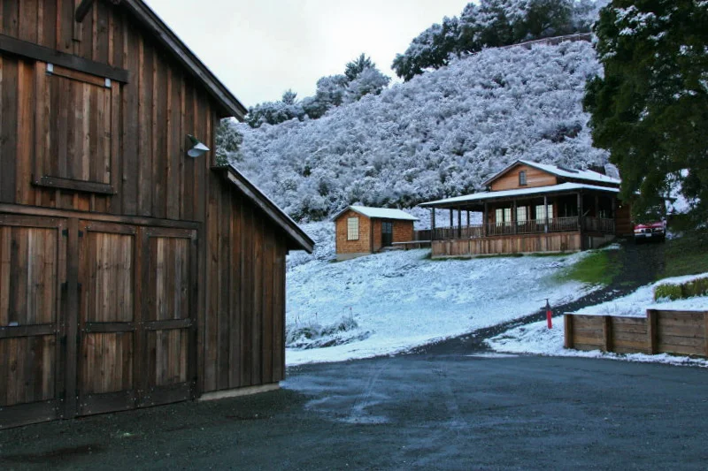 guesthouse_snow.jpg