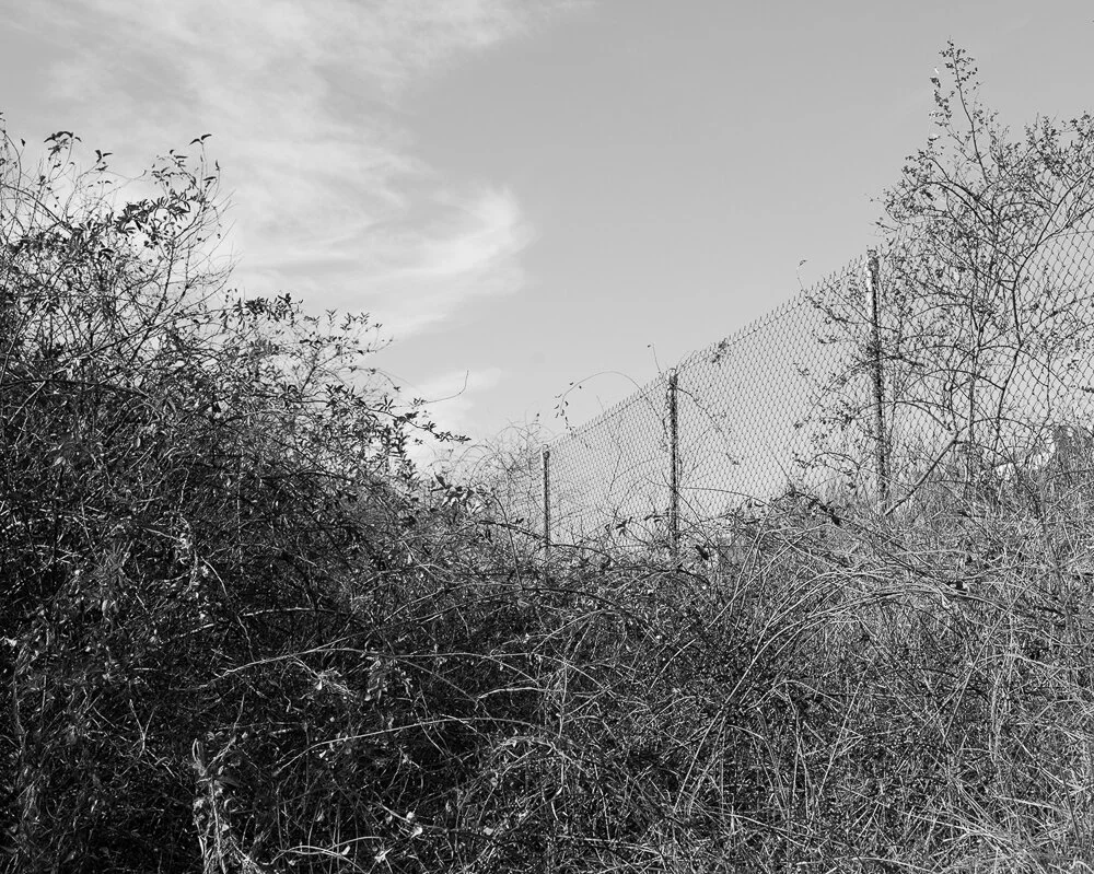 essex-1.jpg