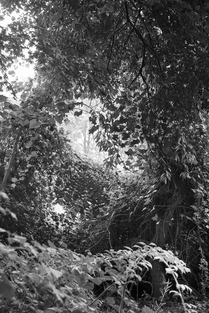 idah-23.jpg