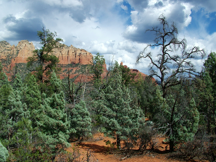 Sedona, Arizona