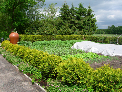 Gathering ingredients from the Dutch countryside