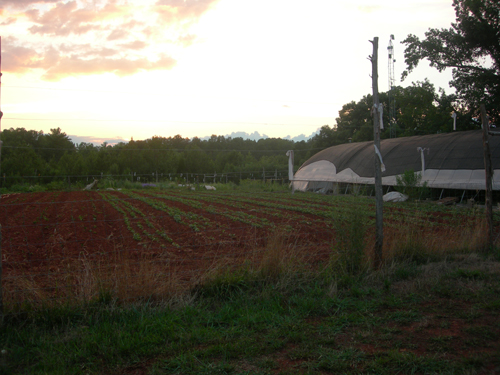 Piedmont Biofuels Farm Incubator