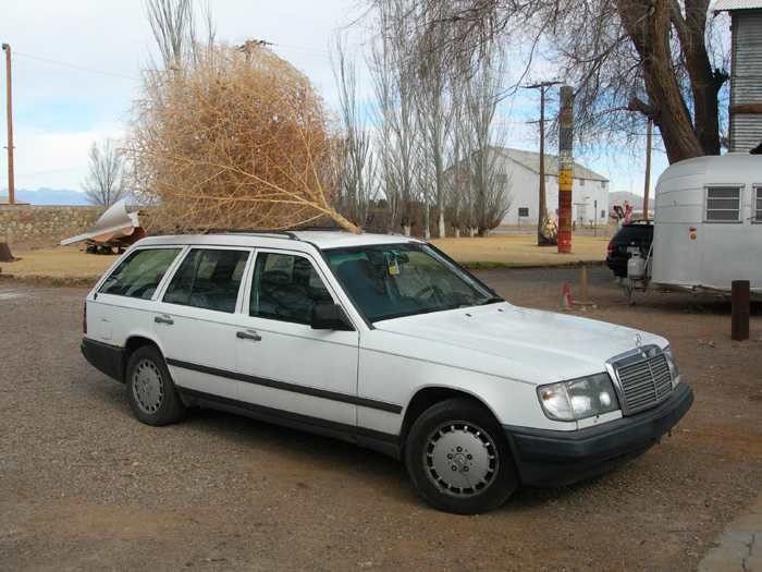 The Motherlode | La Union, New Mexico