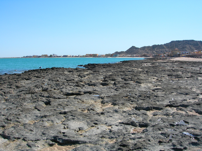 Cholla Bay, Sonora, Mexico