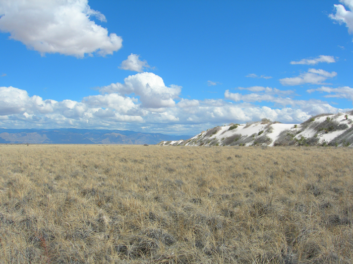 White Sands National Monument | Alamogordo, New Mexico