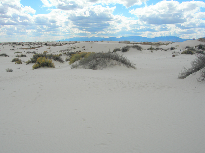 White Sands National Monument | Alamogordo, New Mexico