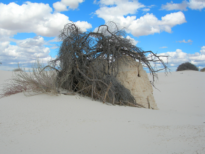 White Sands National Monument | Alamogordo, New Mexico