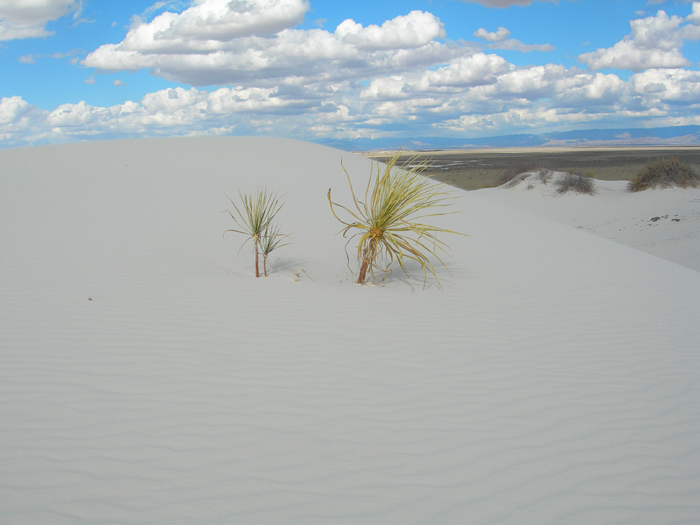 White Sands National Monument | Alamogordo, New Mexico