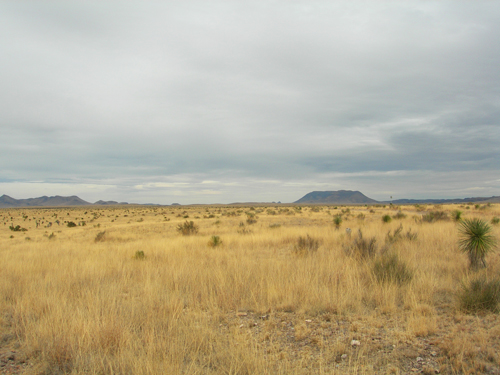 Highway 90 outside of town