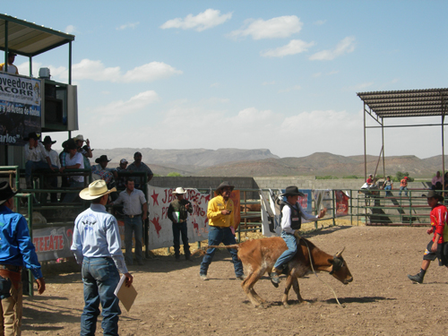 Mexican rodeo
