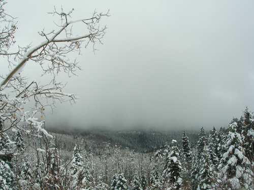 Santa Fe, NM - Instant winter