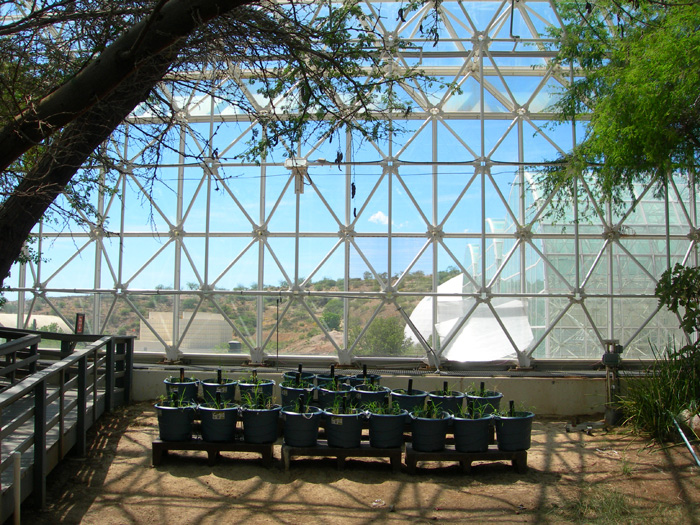 Biosphere 2 | Experiments