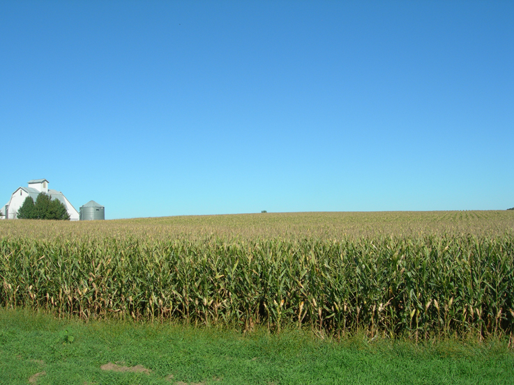 View from the highway