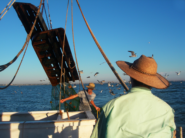 Shrimp Boat Projects / Galveston Bay, Texas