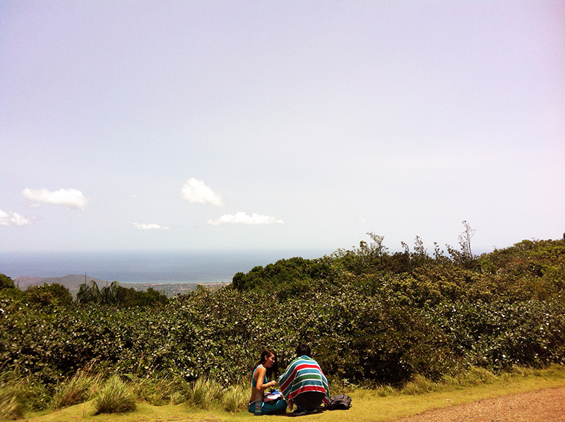 Mountaintop - El Copey