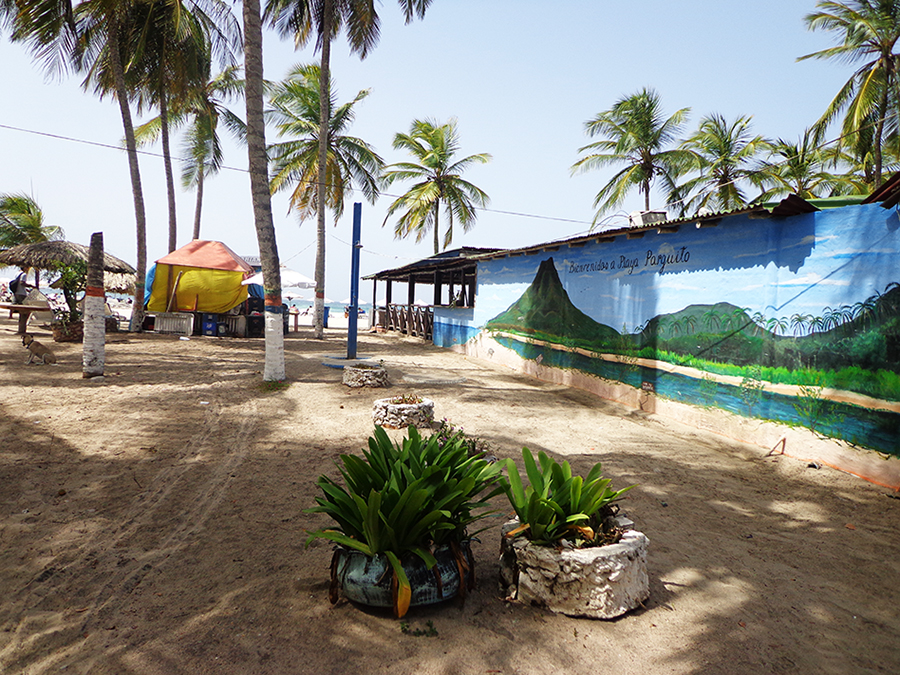 Bienvenido a Playa Parguito