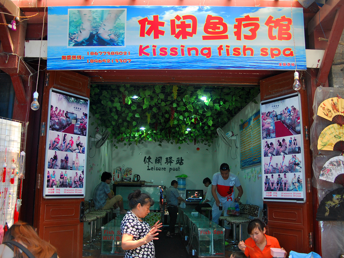Kissing fish spa