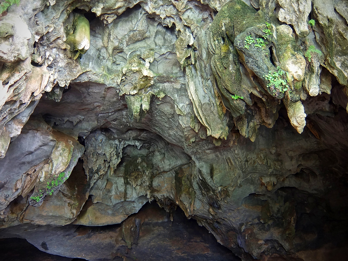 Cave detail