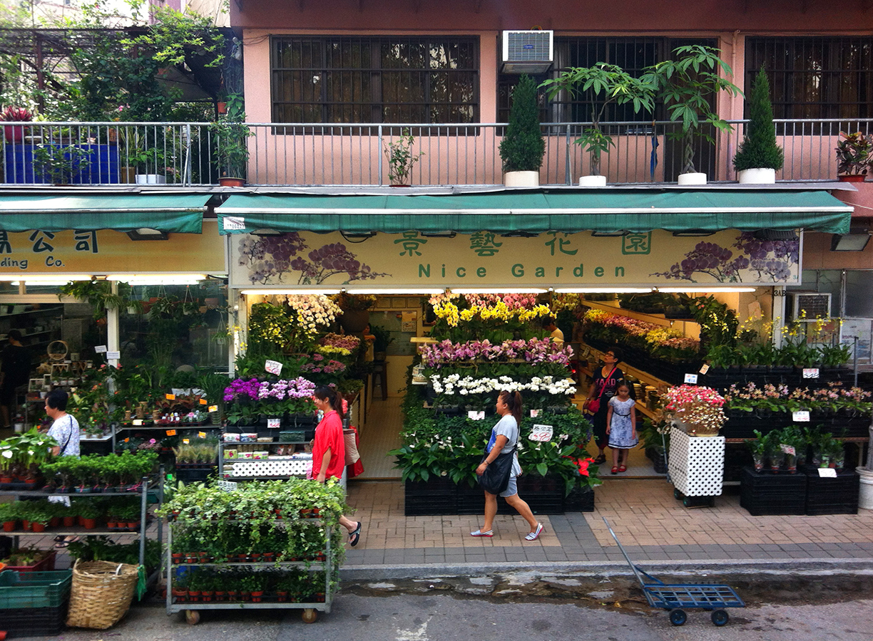 Bird & Flower market