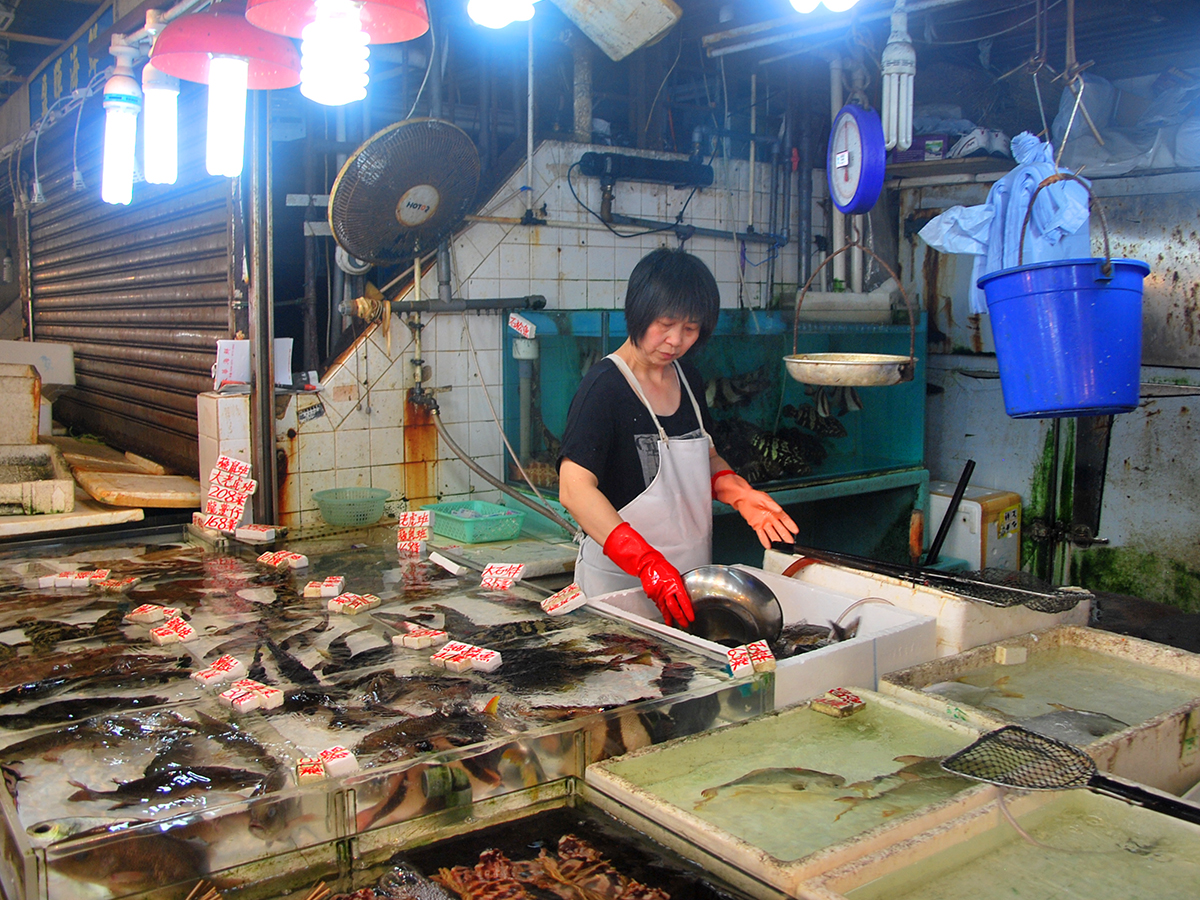 Fish market