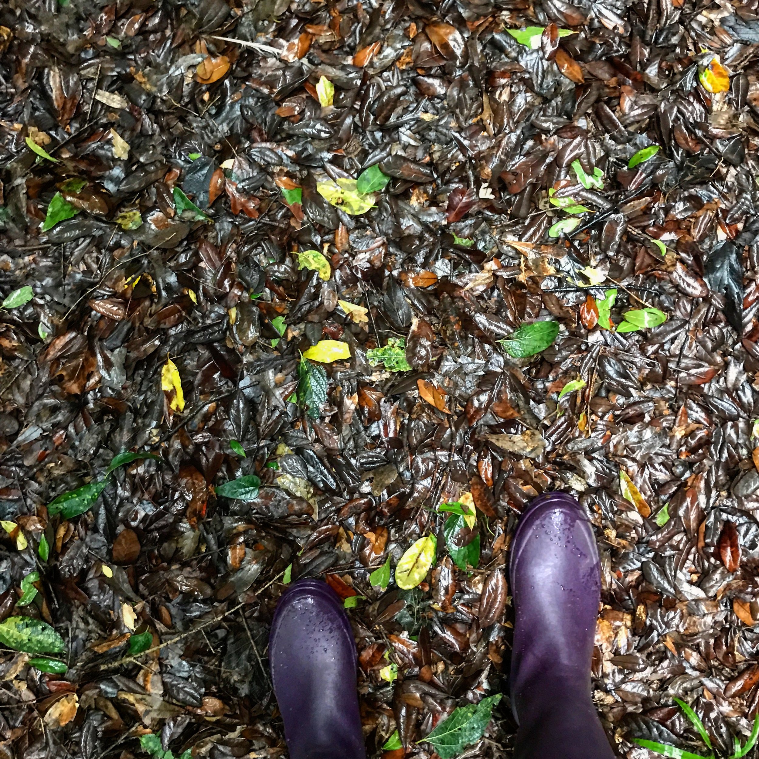 Susannah-Mira-rainboots.JPG