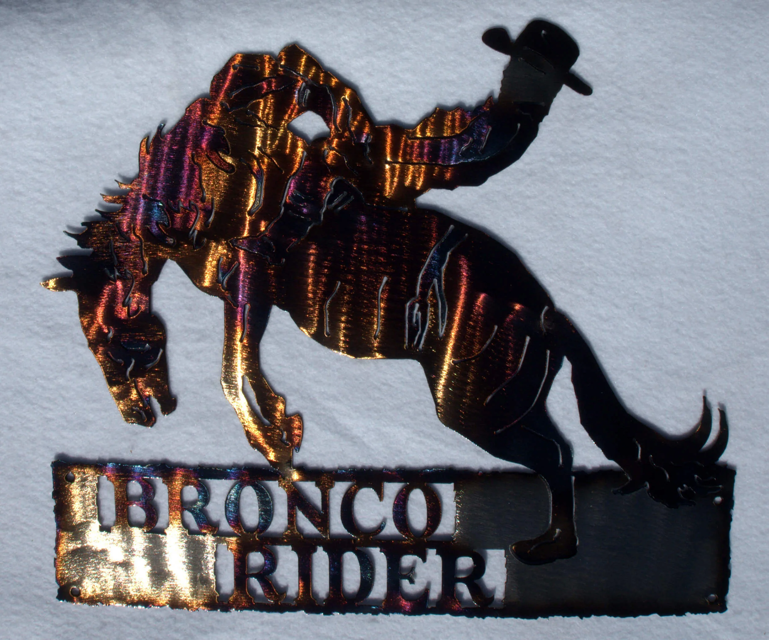BRONCO RIDER.jpg
