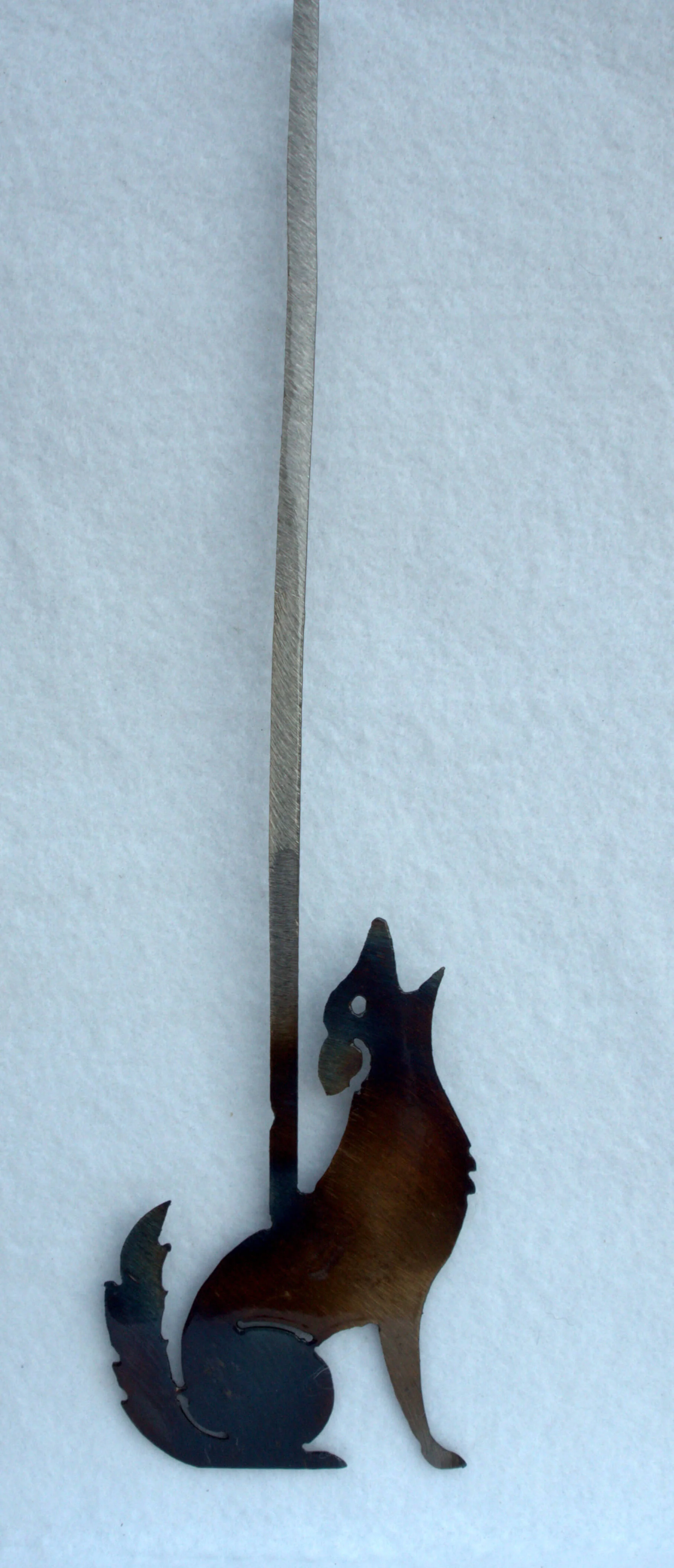COYOTE PENDULUM NO SUN.jpg