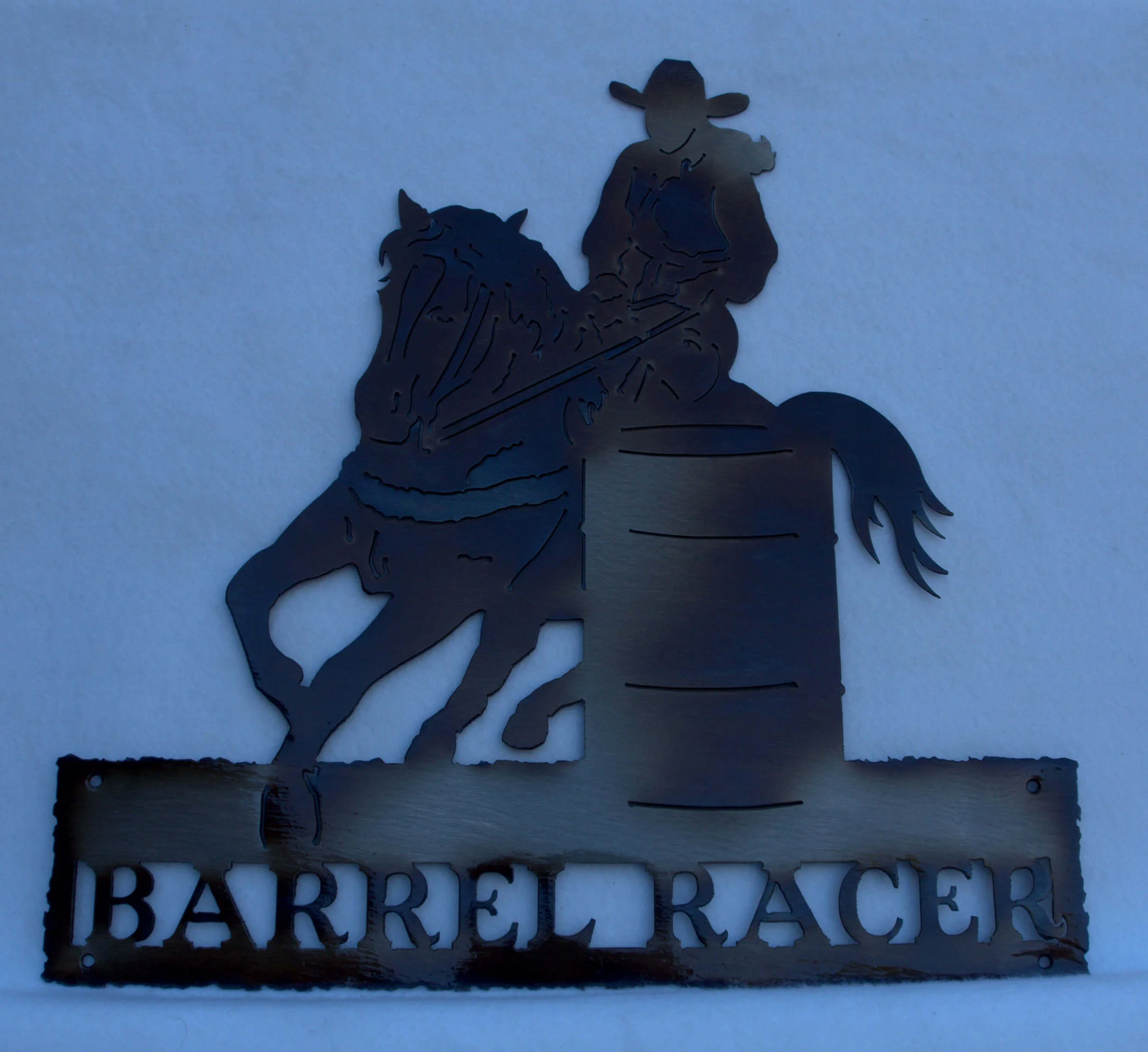 BARREL RACER SIGN NO SUN.jpg
