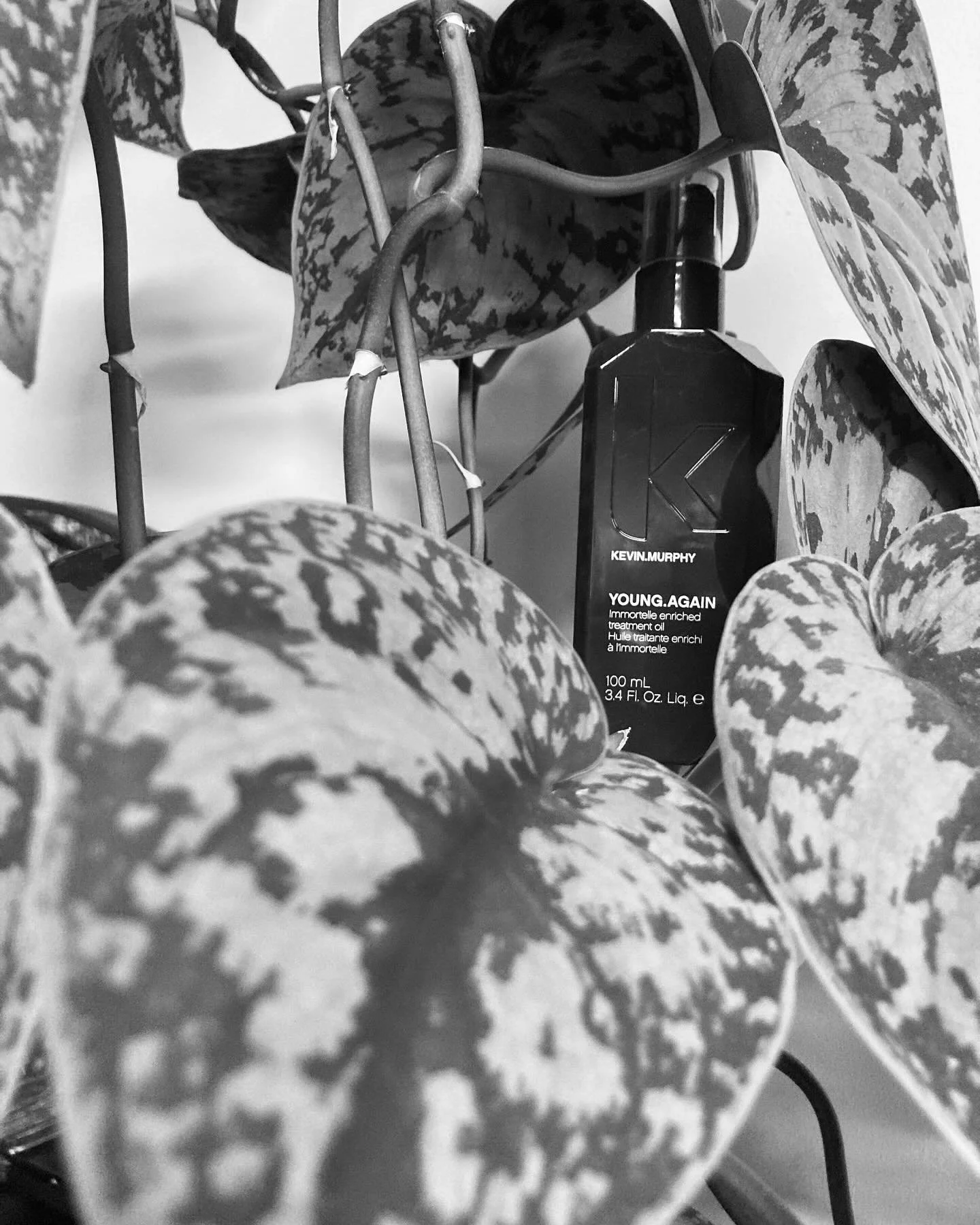 We’ve got minis… 🪺 and plenty of pretty shiny things for your hair. For your NYE bag 🪩 🕺🏻 or your carry-on 🏖️.
#3.4ml’sorlessplease #happyholidays #vancouverhairstylist #vancouversalon #kevinmurphy #davines #olaplex #kmsalon