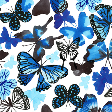HOME-JK_0000_BUTTERFLIES.jpg