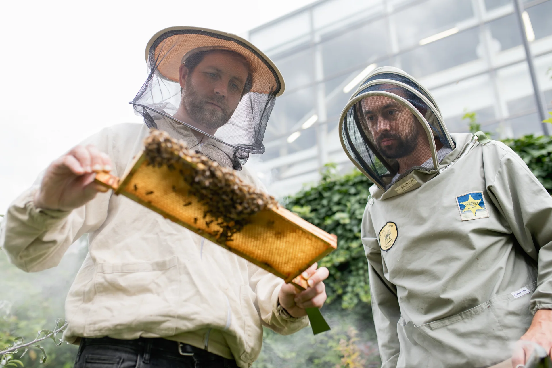 Barnes and Webb - Urban BeeKeepers - Hoxton Station - Inspecting Honey - Jody Daunton - San Miguel Rich List 2017 - (Photography by Jody Daunton).jpg