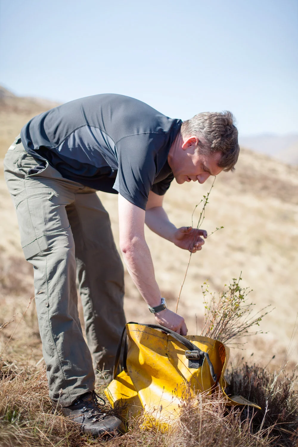 Trees-for-Life---Glen-Affric-6--Image-by-Jody-Daunton.jpg