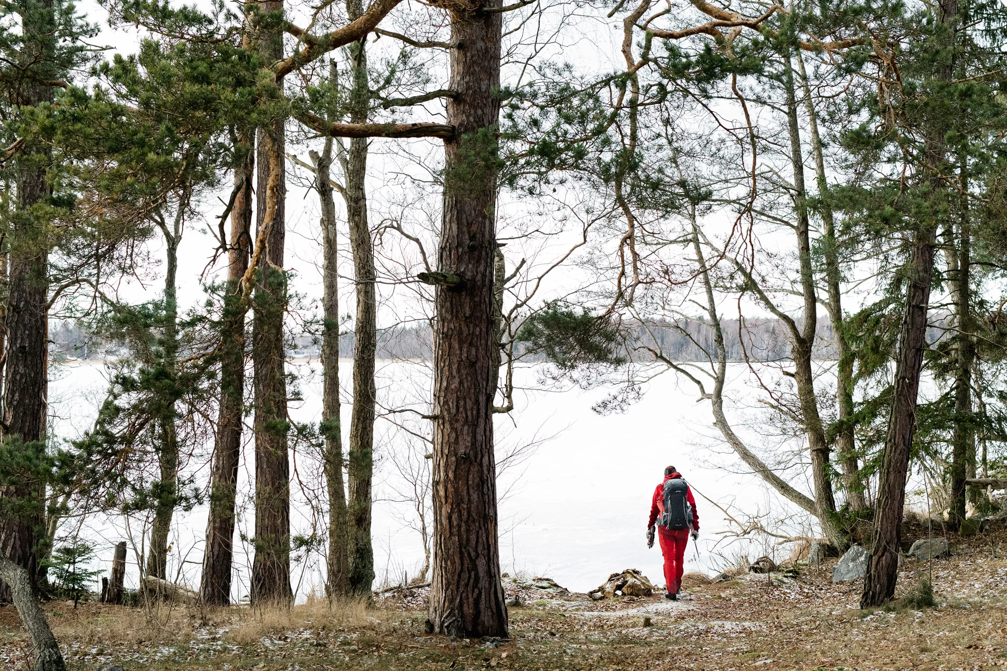 Jody-Daunton-Another-Escape-Nordic-Skating-CI1A2504.jpg