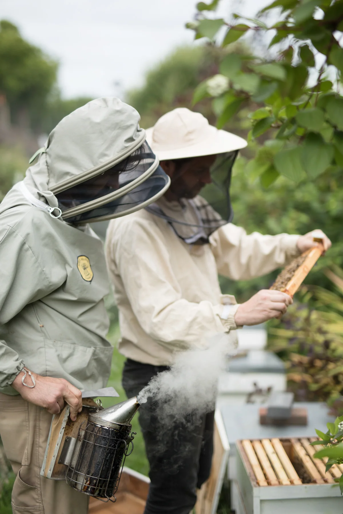 Urban-BeeKeepers---Jody-Daunton---(8-of-19).jpg
