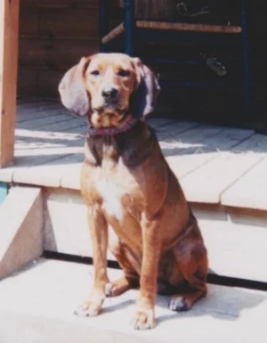 Copper Color Scan 2.jpg
