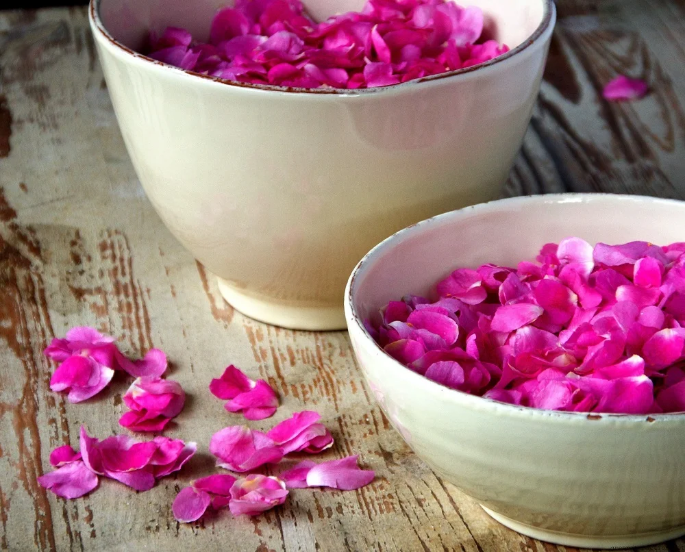 usos-de-las-rosas2.jpg