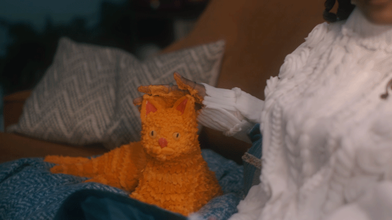 cat-pet.gif