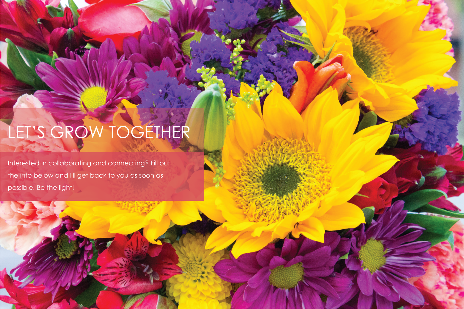 Let's-Grow-Header.png
