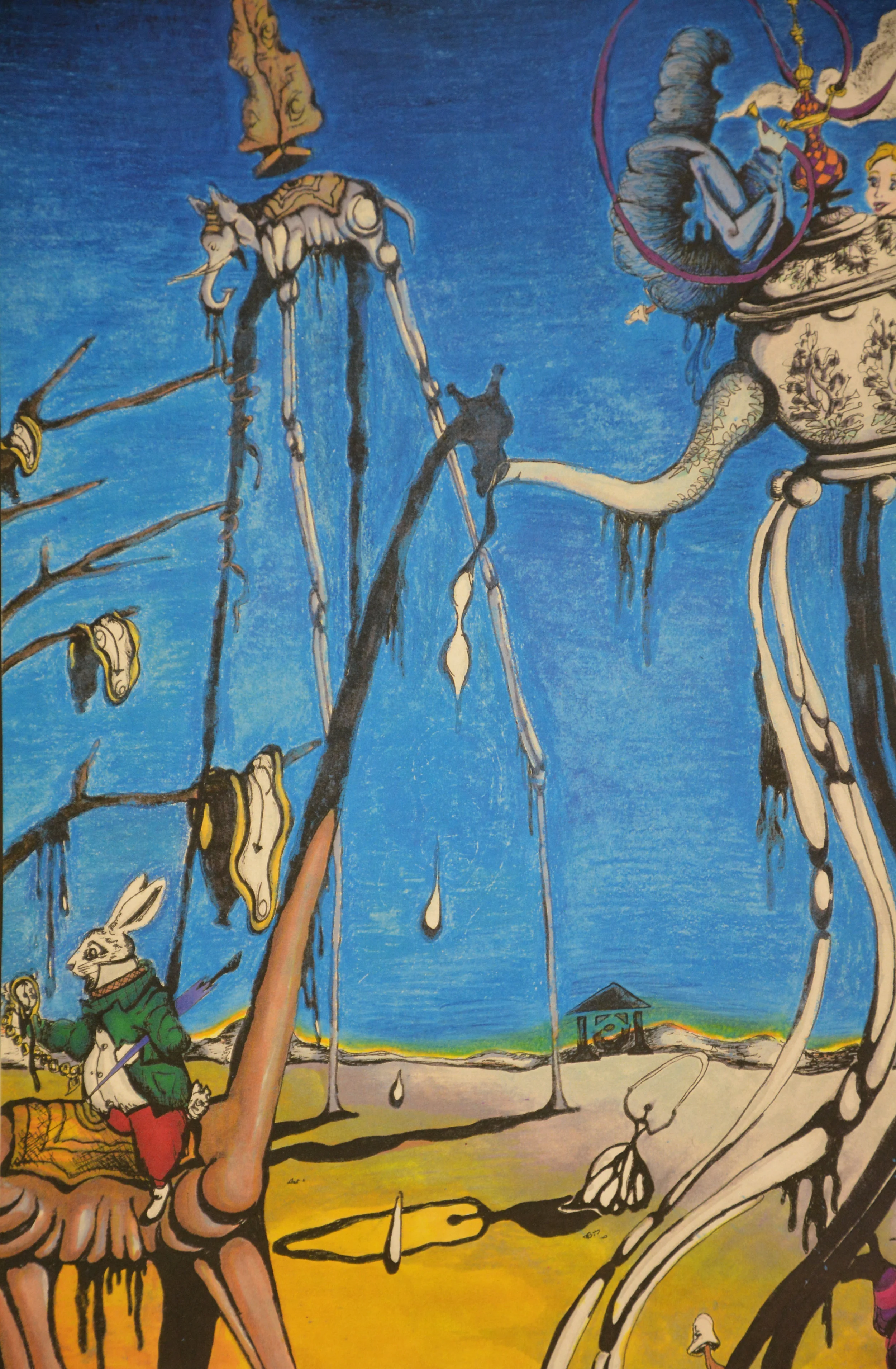 Alice's Arachnid Aquaintances